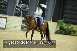 25BUCKEYE_07747 thumbnail