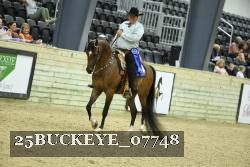 25BUCKEYE_07748 thumbnail