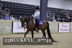 25BUCKEYE_07749 thumbnail