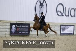 25BUCKEYE_06771 thumbnail