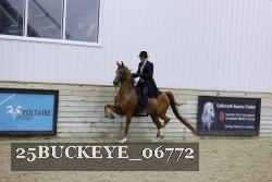 25BUCKEYE_06772 thumbnail