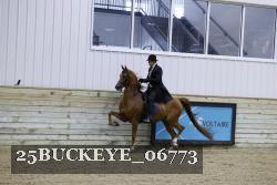 25BUCKEYE_06773 thumbnail