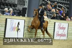 25BUCKEYE_06775 thumbnail