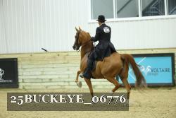 25BUCKEYE_06776 thumbnail