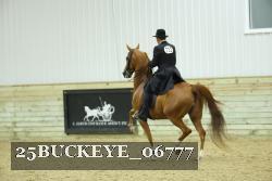 25BUCKEYE_06777 thumbnail