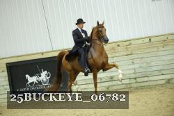 25BUCKEYE_06782 thumbnail