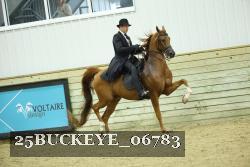 25BUCKEYE_06783 thumbnail