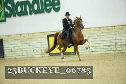 25BUCKEYE_06785 thumbnail