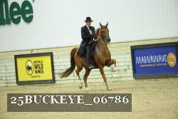 25BUCKEYE_06786 thumbnail