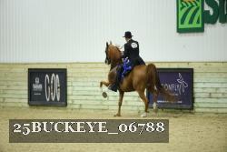 25BUCKEYE_06788 thumbnail