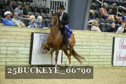 25BUCKEYE_06790 thumbnail