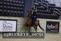 25BUCKEYE_06791 thumbnail
