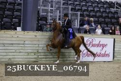 25BUCKEYE_06794 thumbnail