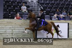 25BUCKEYE_06795 thumbnail