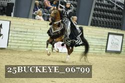 25BUCKEYE_06799 thumbnail