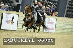 25BUCKEYE_06800 thumbnail
