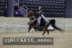 25BUCKEYE_06801 thumbnail