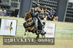 25BUCKEYE_06803 thumbnail