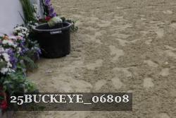 25BUCKEYE_06808 thumbnail
