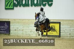 25BUCKEYE_06810 thumbnail