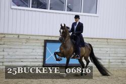 25BUCKEYE_06816 thumbnail