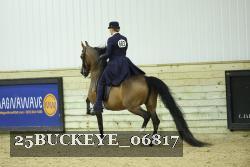 25BUCKEYE_06817 thumbnail