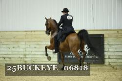25BUCKEYE_06818 thumbnail