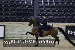 25BUCKEYE_06819 thumbnail