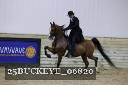 25BUCKEYE_06820 thumbnail