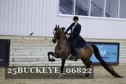 25BUCKEYE_06822 thumbnail