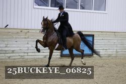 25BUCKEYE_06825 thumbnail