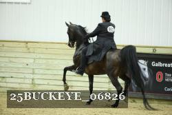 25BUCKEYE_06826 thumbnail