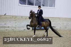 25BUCKEYE_06827 thumbnail