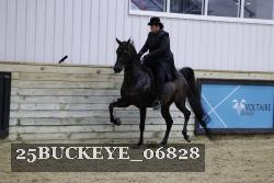 25BUCKEYE_06828 thumbnail