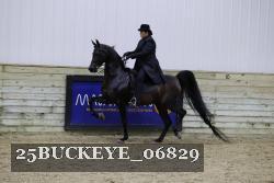 25BUCKEYE_06829 thumbnail