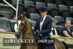 25BUCKEYE_06830 thumbnail