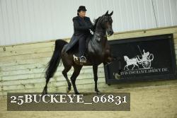25BUCKEYE_06831 thumbnail
