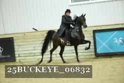 25BUCKEYE_06832 thumbnail