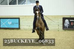 25BUCKEYE_06833 thumbnail