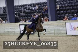 25BUCKEYE_06835 thumbnail