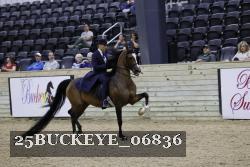 25BUCKEYE_06836 thumbnail