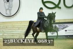 25BUCKEYE_06837 thumbnail
