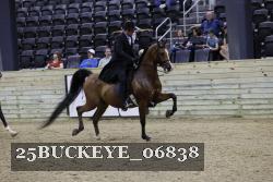 25BUCKEYE_06838 thumbnail