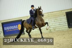 25BUCKEYE_06839 thumbnail