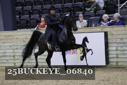 25BUCKEYE_06840 thumbnail