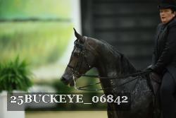 25BUCKEYE_06842 thumbnail