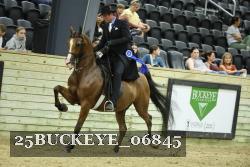 25BUCKEYE_06845 thumbnail