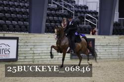 25BUCKEYE_06846 thumbnail