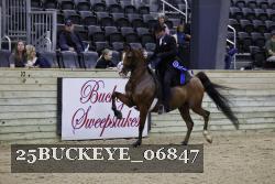 25BUCKEYE_06847 thumbnail