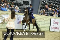 25BUCKEYE_06848 thumbnail